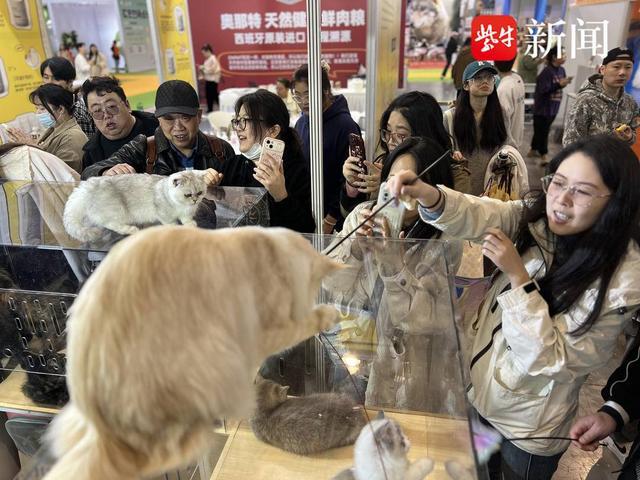 这些宠物很萌！观展市民看各种可爱的宠物