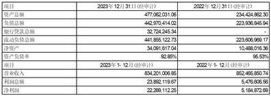 证券代码：000810    证券简称：创维数字    公告编号：2024-006