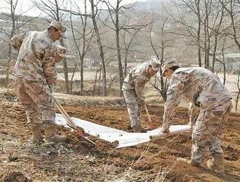 甘肃省积石山县民兵助力春耕备耕——播撒春天的希望