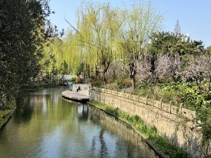 加强河湖原有生态环境的复苏 上海启动“水美村庄”“水美社区”试点建设