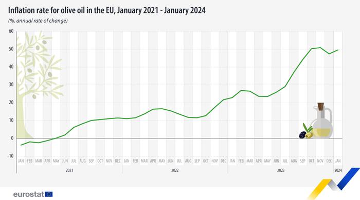 欧盟统计局：2024年1月欧盟橄榄油价格同比增长50%