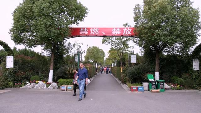 青浦迎来今年首个祭扫高峰，祭扫人数较去年同期增长近两成