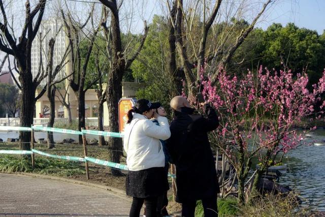 春回暖，花渐开，方松送你一片春暖花开！