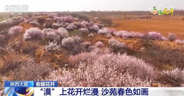 多地春暖花开、生机萌动 水域生态修复成效显著绘就“绿水青山”美景