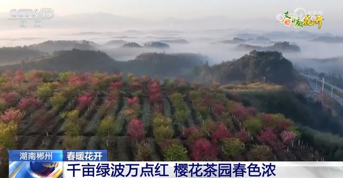 多地春暖花开、生机萌动 水域生态修复成效显著绘就“绿水青山”美景