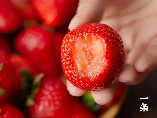 丹东东港“红颜99”大草莓，香甜味美，产地现摘直发！