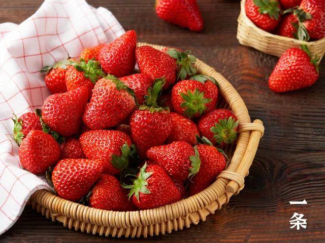 丹东东港“红颜99”大草莓，香甜味美，产地现摘直发！