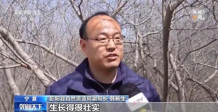 让每滴水发挥最大价值！三北工程攻坚战这样拧紧“水龙头”→