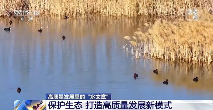 让每滴水发挥最大价值！三北工程攻坚战这样拧紧“水龙头”→