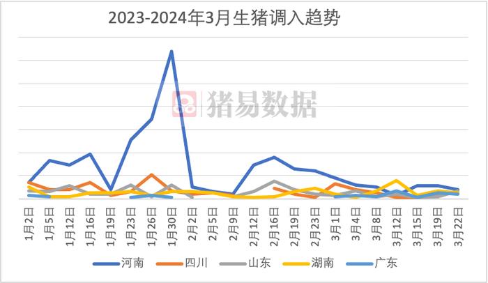 图22024年1月-3月生猪调入趋势