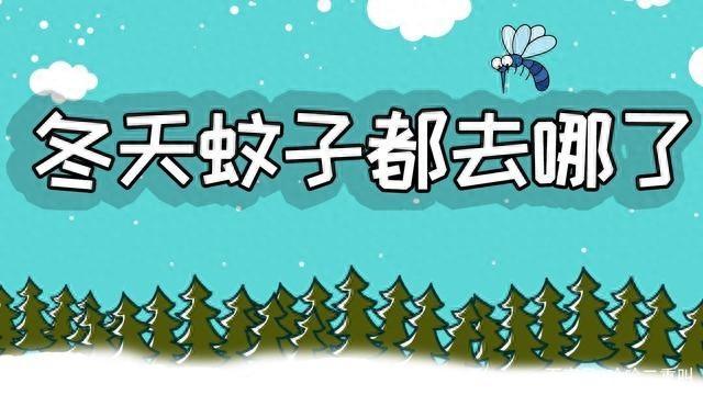 教你消灭至少1000只蚊子的方法：杀死一只越冬蚊！