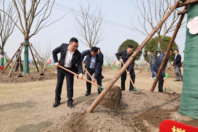 召稼楼古镇更新进行时：核心景观区内，一座晓烟湖公园启动建设