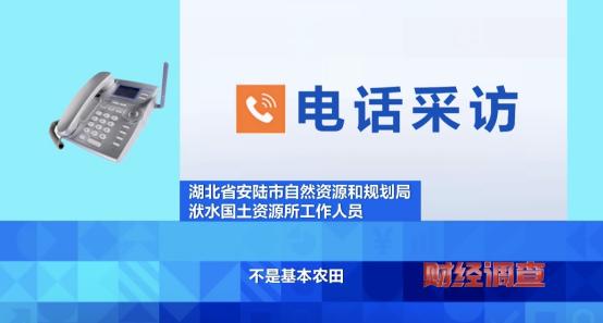 央视曝光！耗资超800万元建高标准农田，两年后改建光伏电站，当地稻谷亩产大跌