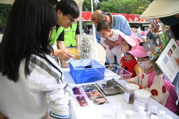 深圳举办“爱鸟周”宣传活动，推动绿美深圳生态文明建设