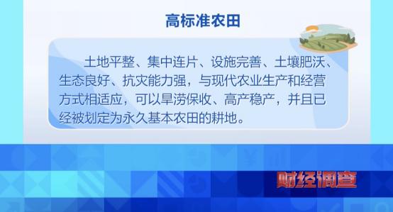 央视曝光！耗资超800万元建高标准农田，两年后改建光伏电站，当地稻谷亩产大跌