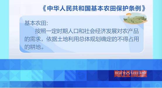 央视曝光！耗资超800万元建高标准农田，两年后改建光伏电站，当地稻谷亩产大跌