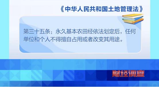 央视曝光！耗资超800万元建高标准农田，两年后改建光伏电站，当地稻谷亩产大跌