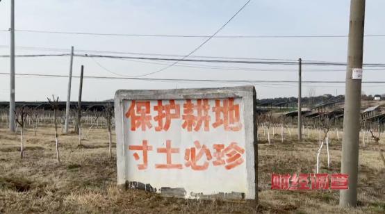 央视曝光！耗资超800万元建高标准农田，两年后改建光伏电站，当地稻谷亩产大跌