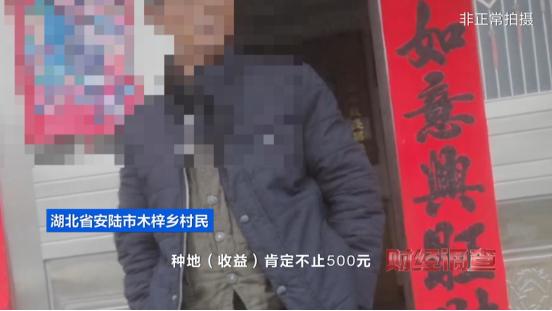 央视曝光！耗资超800万元建高标准农田，两年后改建光伏电站，当地稻谷亩产大跌