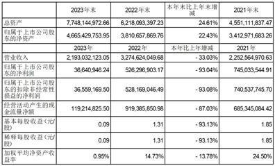 证券代码：002759      证券简称：天际股份      公告编号：2024-035