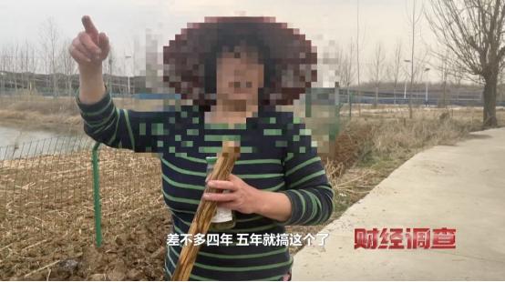 央视曝光！耗资超800万元建高标准农田，两年后改建光伏电站，当地稻谷亩产大跌