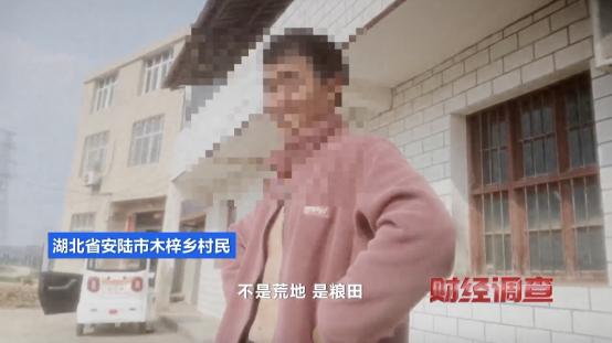 央视曝光！耗资超800万元建高标准农田，两年后改建光伏电站，当地稻谷亩产大跌