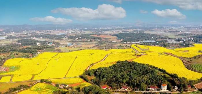 冷水滩伊塘十五大景区欢迎您来打卡！旅游地图已新鲜出炉