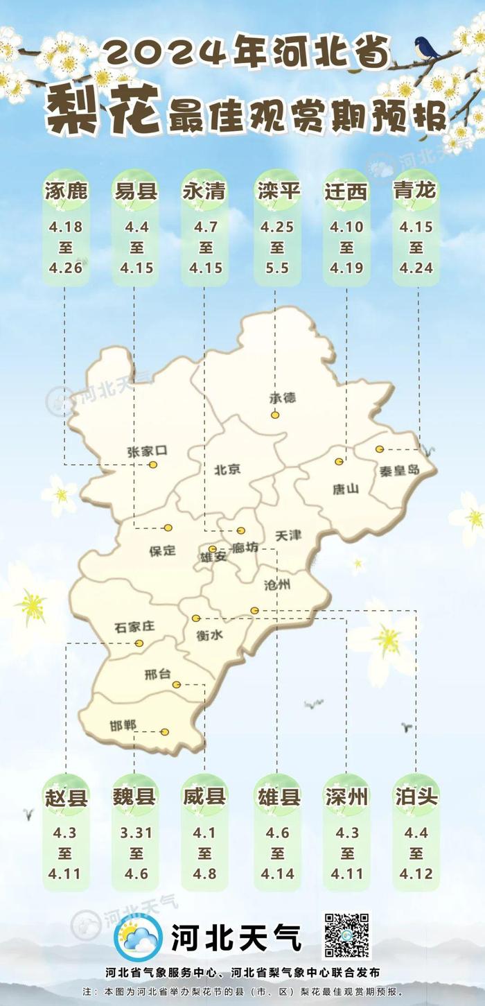 唐山一地梨花观赏期公布，时间是→