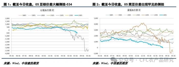 【建投点评】油脂品种间价差再走极端 都是棕榈油惹的祸