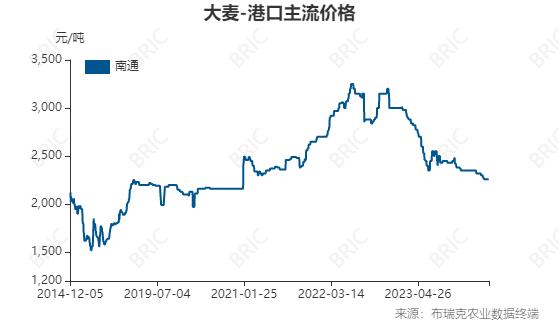 2024年3月25日大麦港口主流价格