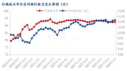 Mysteel解读：平地一声惊雷起 仔猪价格直上600“米”