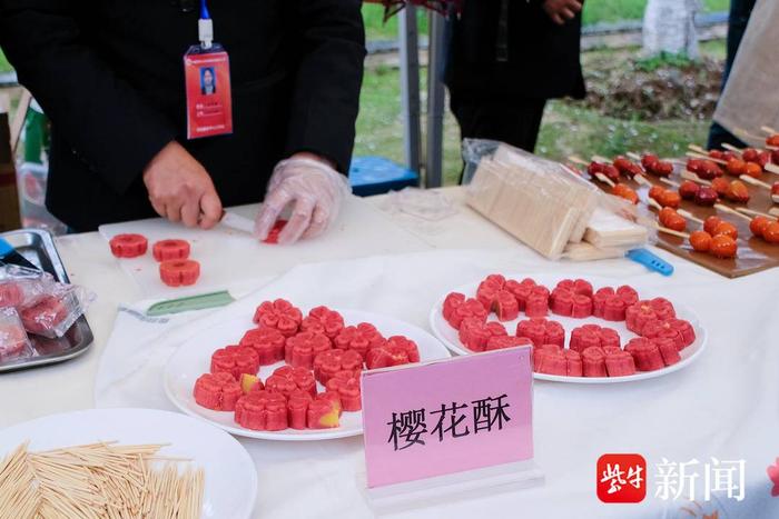 中国药科大学“樱花节”如约而至，本周末江宁校区将面向社会开放