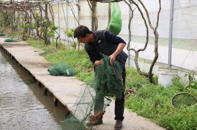 在“热带雨林”中钓龙虾、钓牛蛙是什么体验？