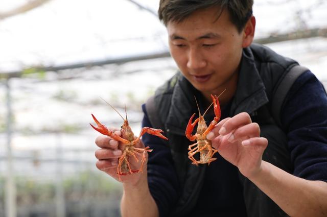 在“热带雨林”中钓龙虾、钓牛蛙是什么体验？