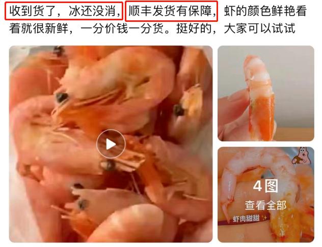 一年进口上万吨！丹麦北极甜虾是怎么抢占中国市场的？
