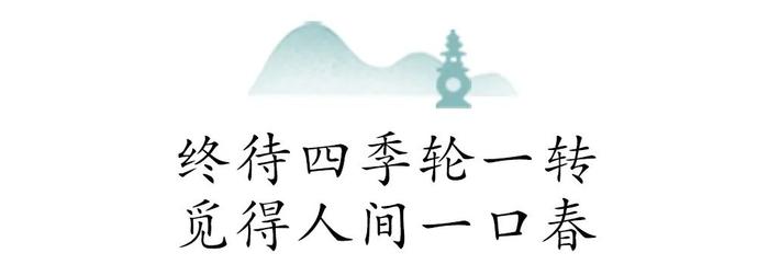 万颗嫩芽才得一斤，明前龙井抢“鲜”上市！头采、新鲜，懂茶的人都在抢这杯！