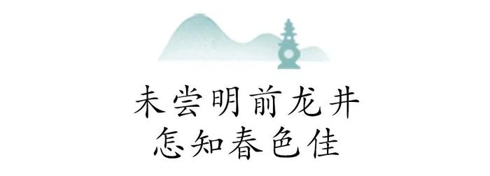 万颗嫩芽才得一斤，明前龙井抢“鲜”上市！头采、新鲜，懂茶的人都在抢这杯！