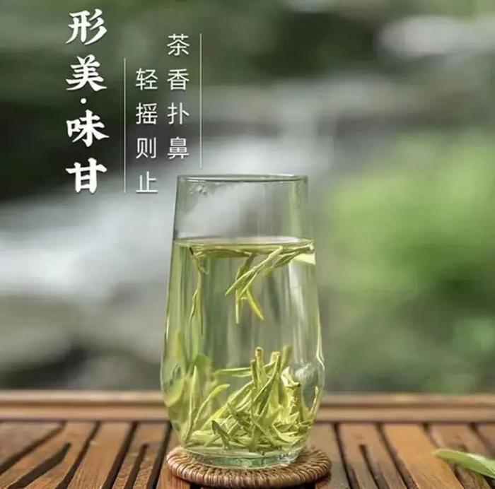 万颗嫩芽才得一斤，明前龙井抢“鲜”上市！头采、新鲜，懂茶的人都在抢这杯！