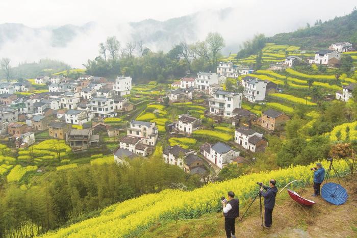 江西踏青游上线——不负春光 一路繁花