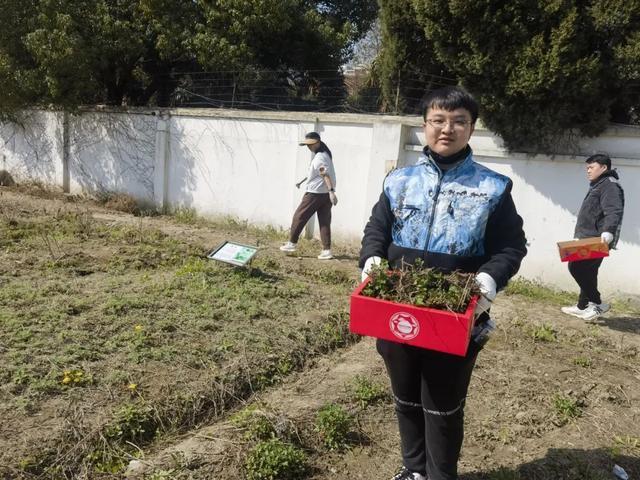 春耕乐翻天，奉浦这个小花园居然还能种植中草药！