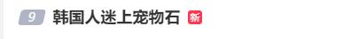 “就像和你的狗说话！”韩国人流行将小石块当作宠物饲养的“宠物石”