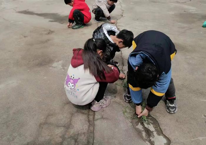 童心送温暖 情满敬老院——镇平县枣园镇枣园小学开展新时代文明实践活动