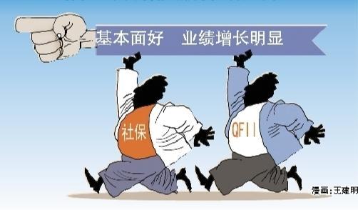 社保基金QFII等长线资金买了啥？