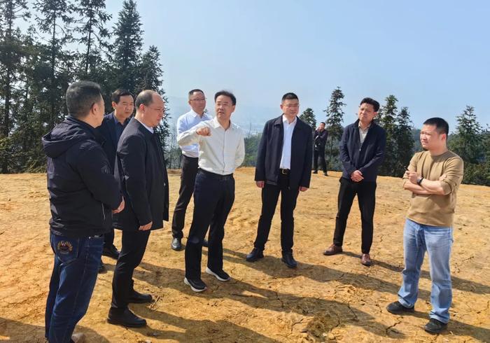 喜报丨中林重庆林投公司再添两家市级林业龙头企业