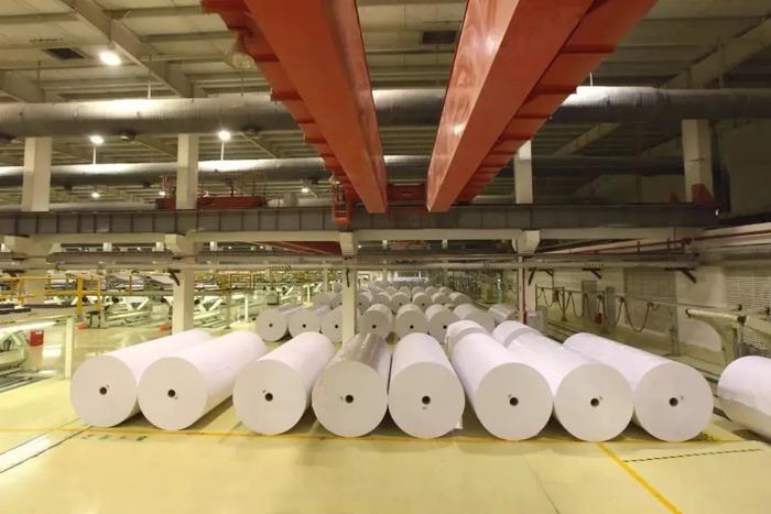 造纸业迈向高质量发展新阶段 晨鸣纸业优化布局抢抓机遇