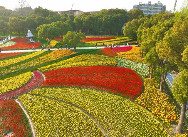 “静”观花开丨从彭浦四季到中环公园，跟着静宝来邂逅“春园”浪漫春色！