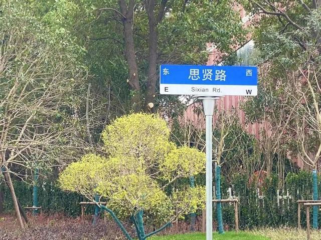 “我在思贤路很想你”～松江这条道路绿化景观全新升级！