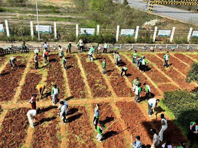 昭山和平小学：春耕劳动课提高学生劳动能力