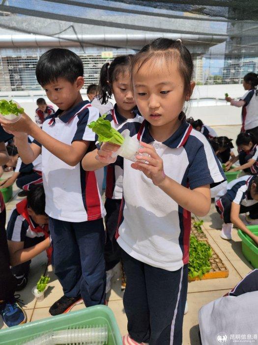 【昆滇名校】  云才文翰学校：高起点、高标准、高质量的九年一贯制学校