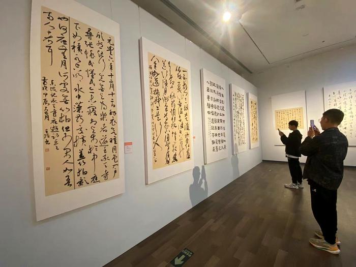 70余幅全国书法名家苏轼主题书法作品在海南省博物馆展出